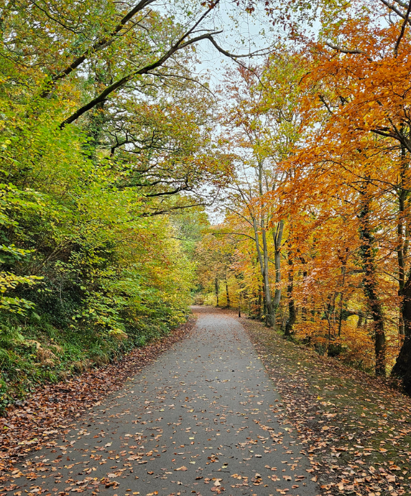 Nature at Greenfield Valley